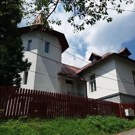 Vila Viitorul Szászbuda Kültér fotó