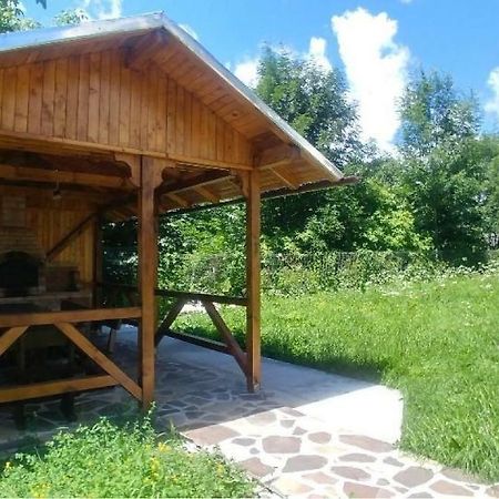 Vila Viitorul Szászbuda Kültér fotó