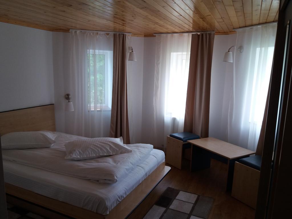 Vila Viitorul Szászbuda Kültér fotó