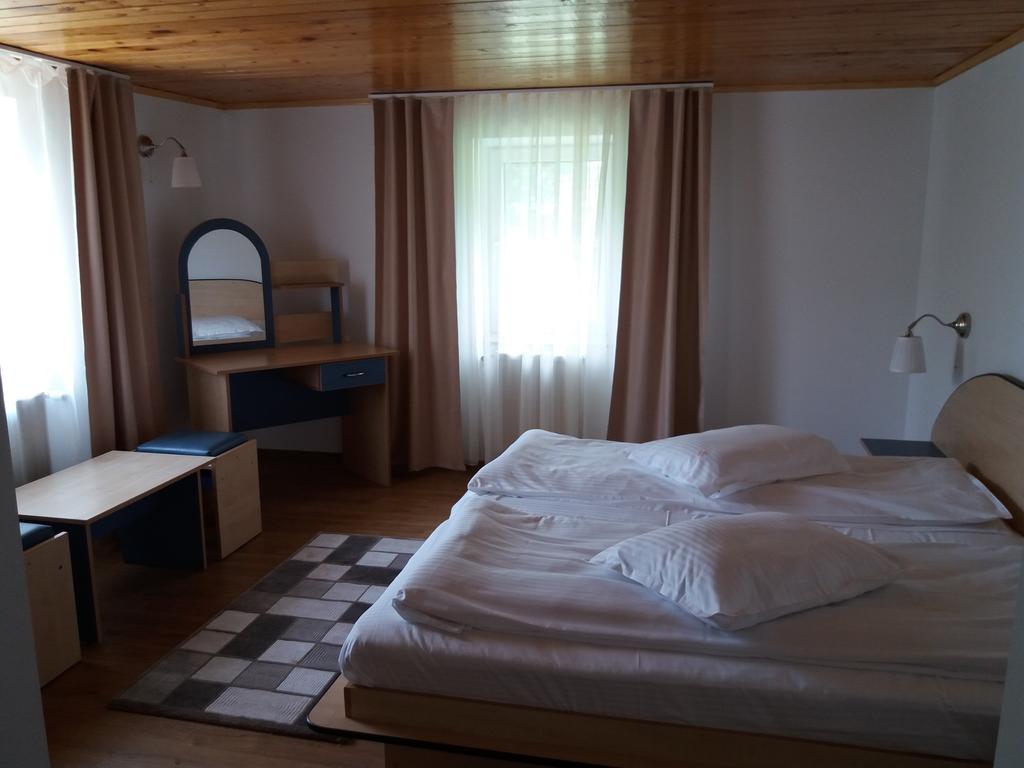 Vila Viitorul Szászbuda Kültér fotó