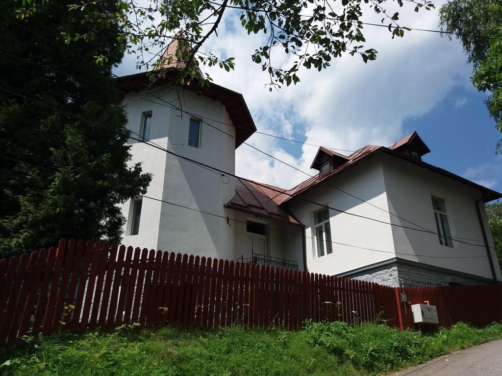 Vila Viitorul Szászbuda Kültér fotó