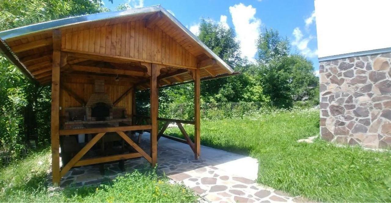 Vila Viitorul Szászbuda Kültér fotó